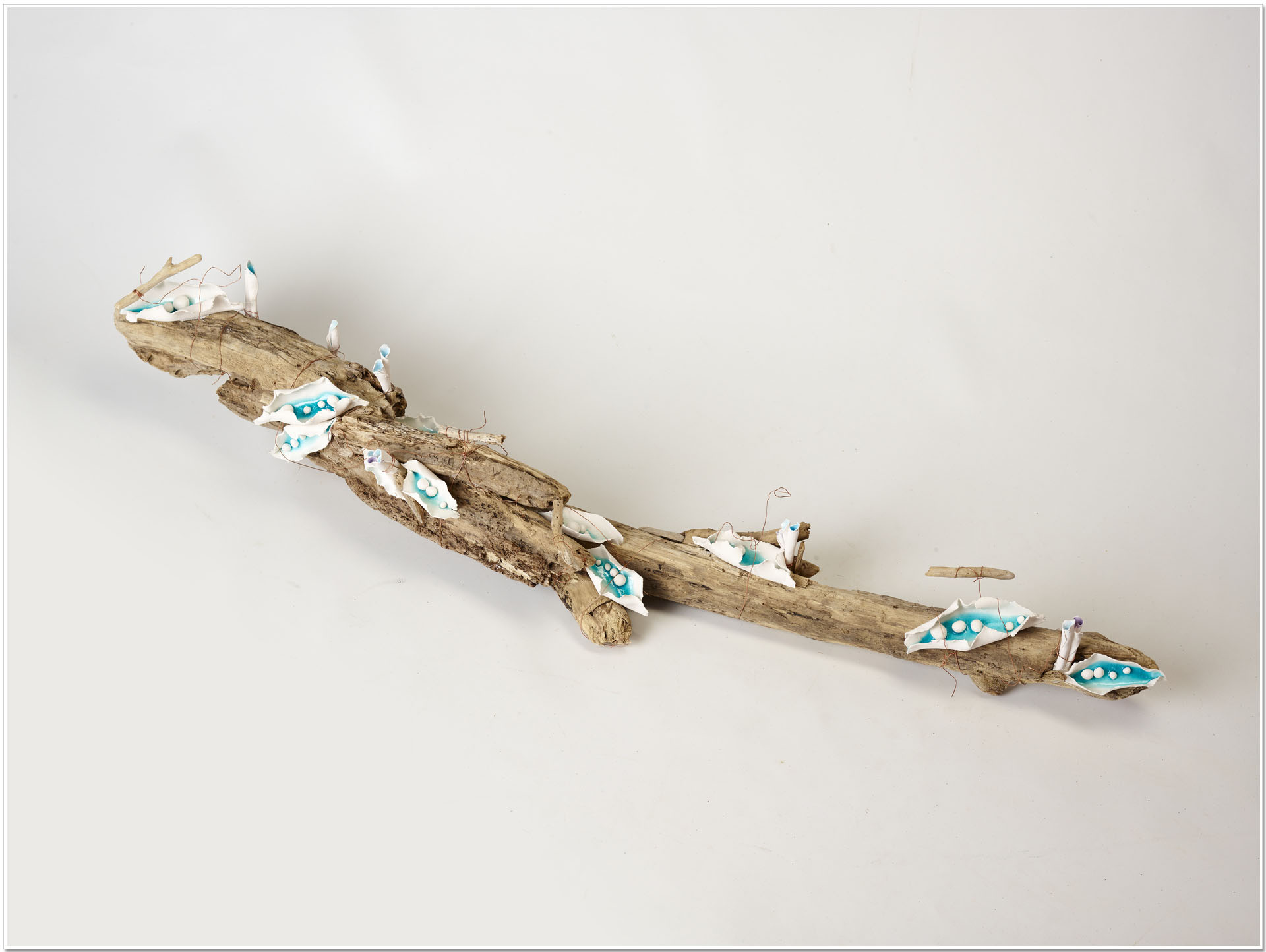 nature revolution opera di emanuela battista con cui ha partecipato alla rassegna la grande onda